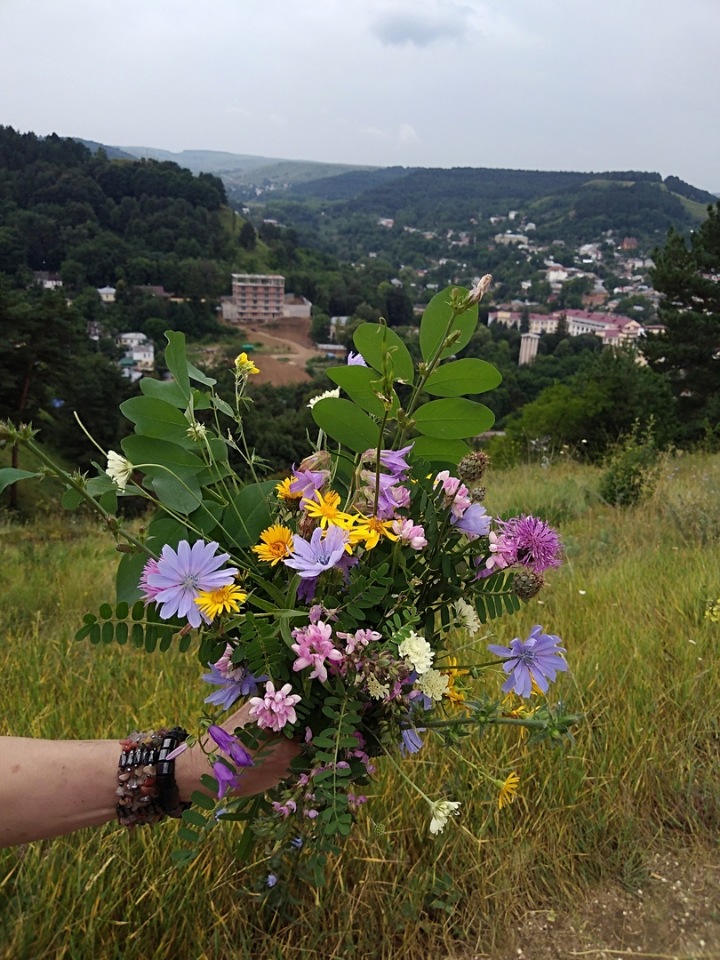 Возвращение Хелены в Кисловодск: опять за своё