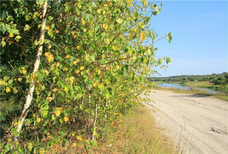 Инопланетянка Нийя. Custom Blythe Doll UFO Go Go Takara