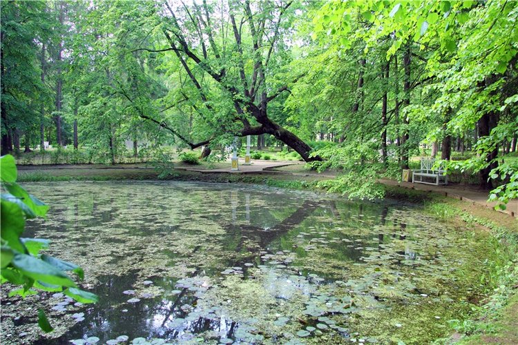 Моё Солнышко — Антикварные куклы Jumeau (Жюмо): Tete Jumeau