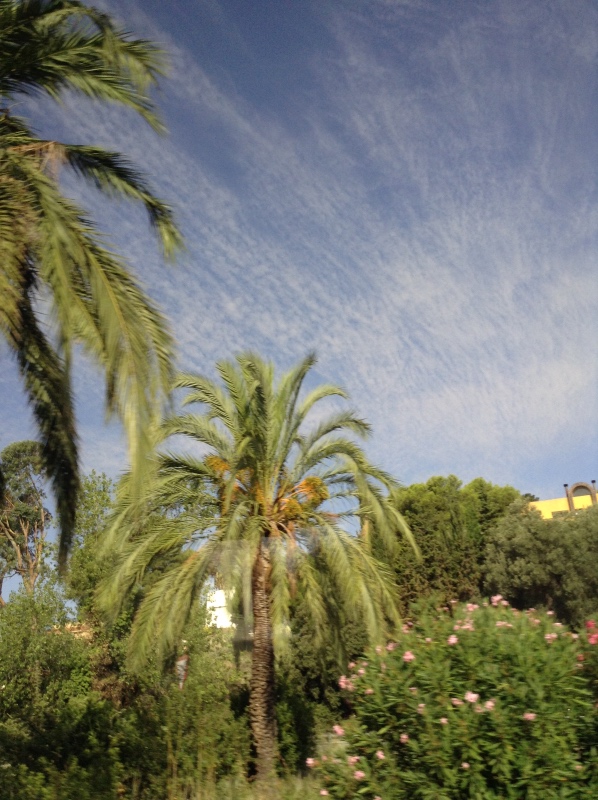 Путешествие Минуш в Испанию. Каталония. Ч.1. Рассвет над облаками. О-ла, Барселона