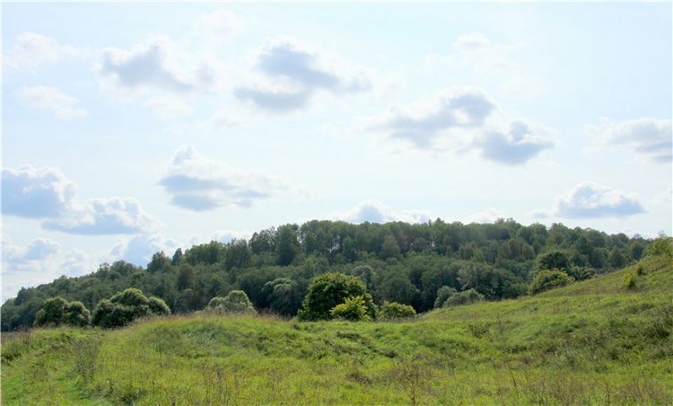 Старицкая Швейцария. Путешествие с Сашей, продолжение. Уникальная кукла от Сильвии Наттерер