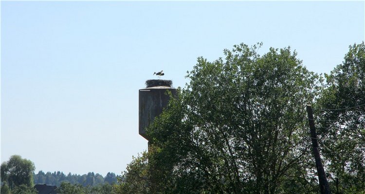 Старицкая Швейцария. Путешествие Мии. Minifee Miyu FairlyLand | Бэйбики Старицкая Швейцария. Путешествие Мии. Minifee Miyu FairlyLand
