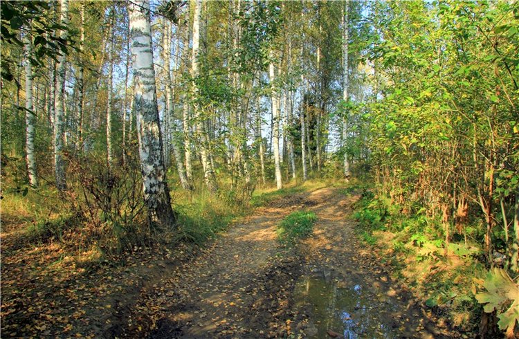 Путешествие Адель в "Сад камней". Джульетта от Sylvia Natterer