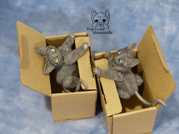 Сборы котиков в путь. Котики-призы конкурсов (фото 7)