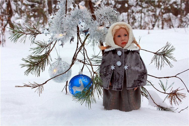 Рождественские гуляния, часть первая. Zwergnase Mischa