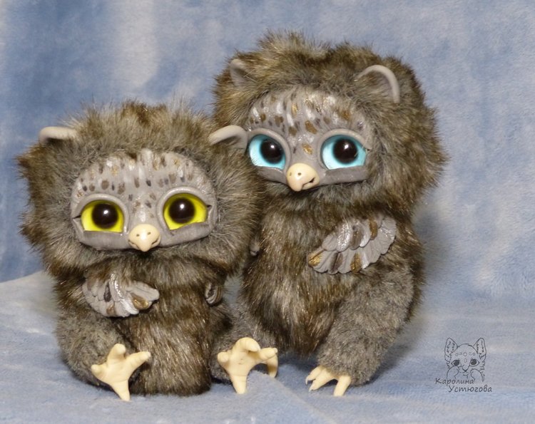 Парочка серых счастливых сов (фото 2)