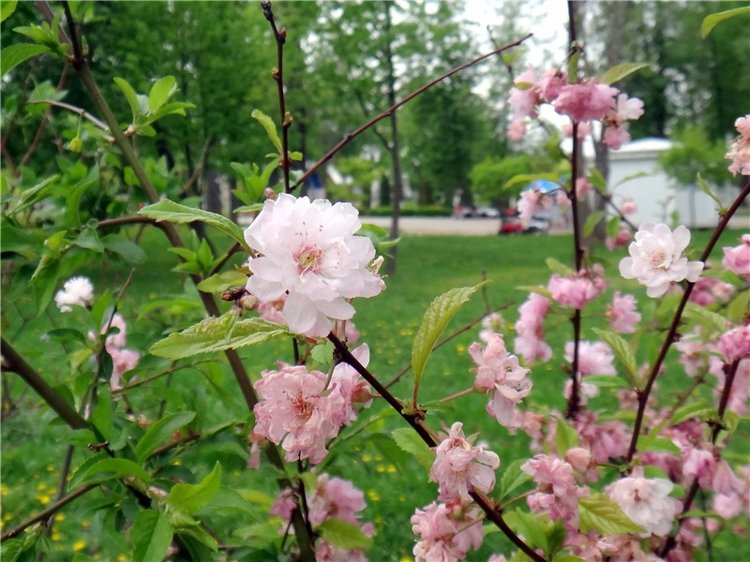 Милый мой город. Прогулка по Твери, заключительная часть
