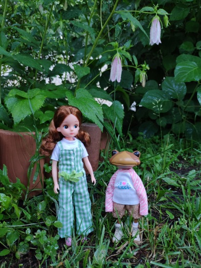 Прогулки с Ликкой — Куклы Takara Tomy (Такара): Licca (Ликка) (фото 10)