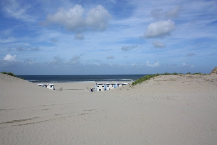 Мисс Бэйбики 2019. Ночная фотосессия в купальнике - часть первая | Бэйбики Мисс Бэйбики 2019. Ночная фотосессия в купальнике - часть первая