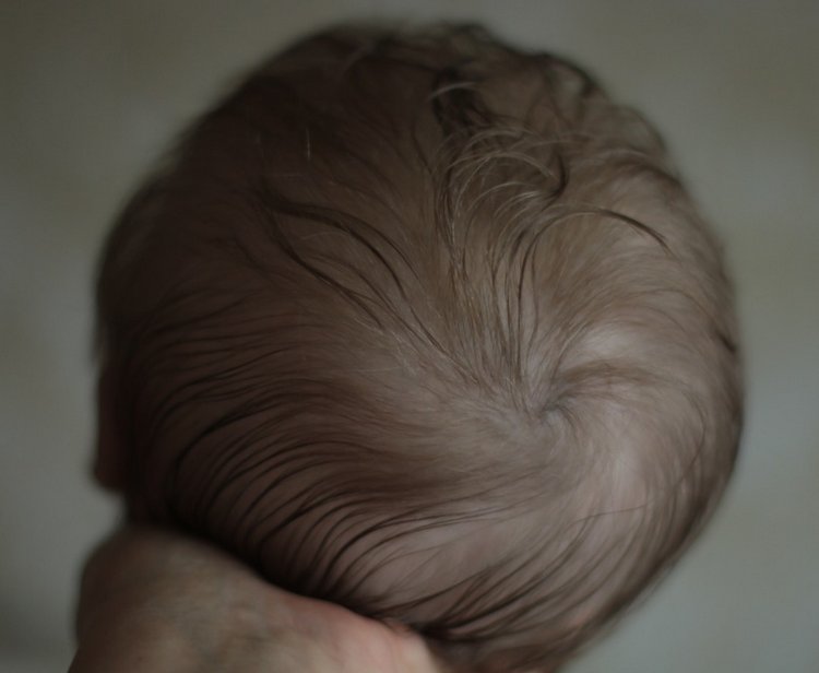 Мой Joseph — Куклы Реборн (Reborn): работы мастеров (фото 3)