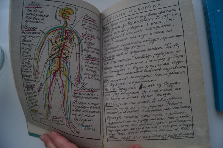 В каникулы особенно хочется читать. Книги моего детства и юности (фото 3)
