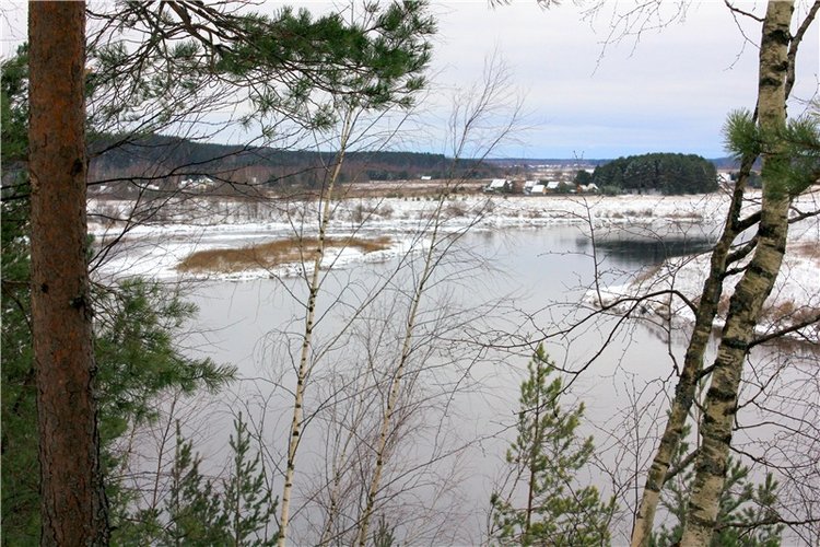 Бейли и Дий. Mini Bailey SK от Meadow dolls