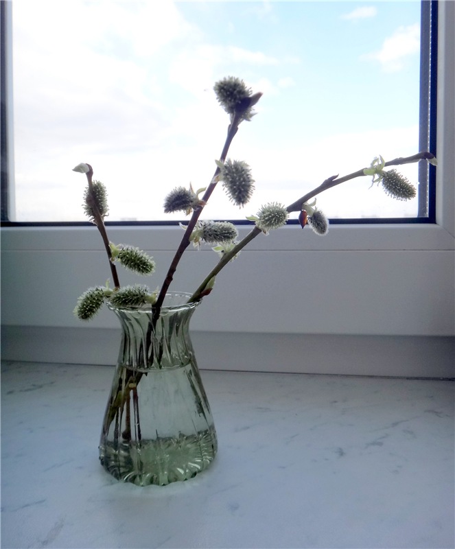 Софи. Lati HoneyBee New Mystic Sophie | Бэйбики Софи. Lati HoneyBee New Mystic Sophie