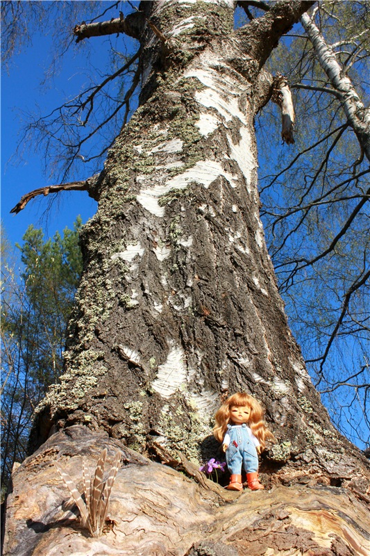 Прогулка Софи. Lati HoneyBee New Mystic Sophie | Бэйбики Прогулка Софи. Lati HoneyBee New Mystic Sophie