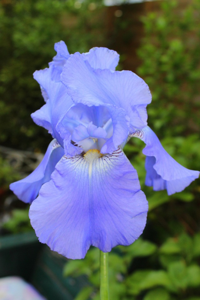 Любовь нечаянно нагрянет — Фэшн (фото 10)