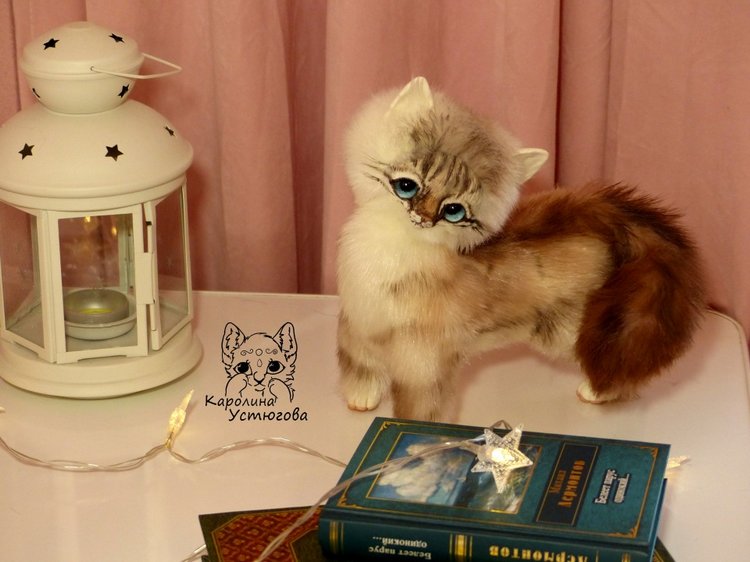 Котенок породы : Невский Маскарадный, окрас сил тэбби пойнт (фото 2)