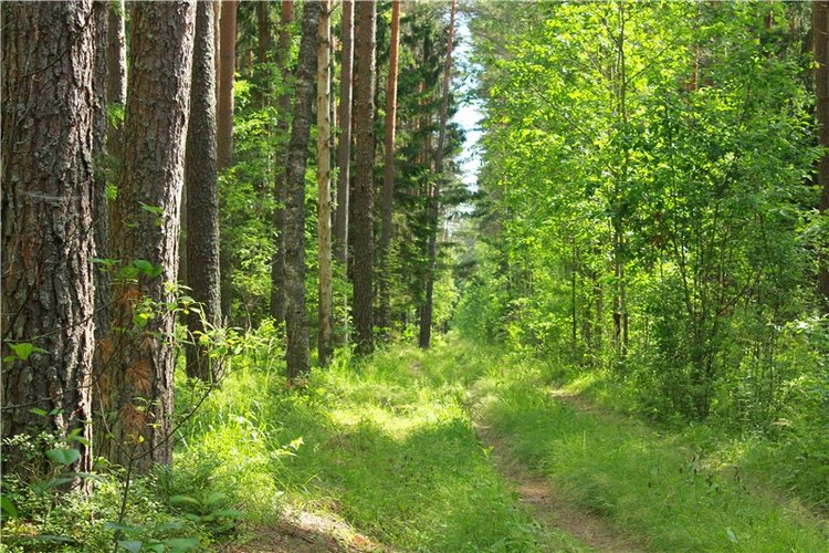 Путешествие Эли на красивый берег реки Волги