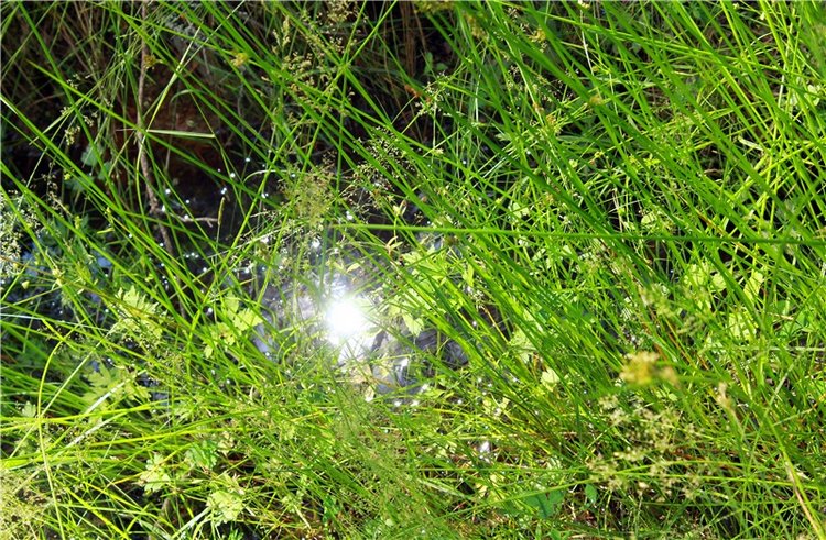 Путешествие Эли на красивый берег реки Волги (фото 7)