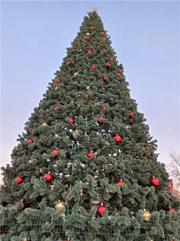 Декабрьская Тверь — Туризм и путешествия: фотоотчеты из поездок