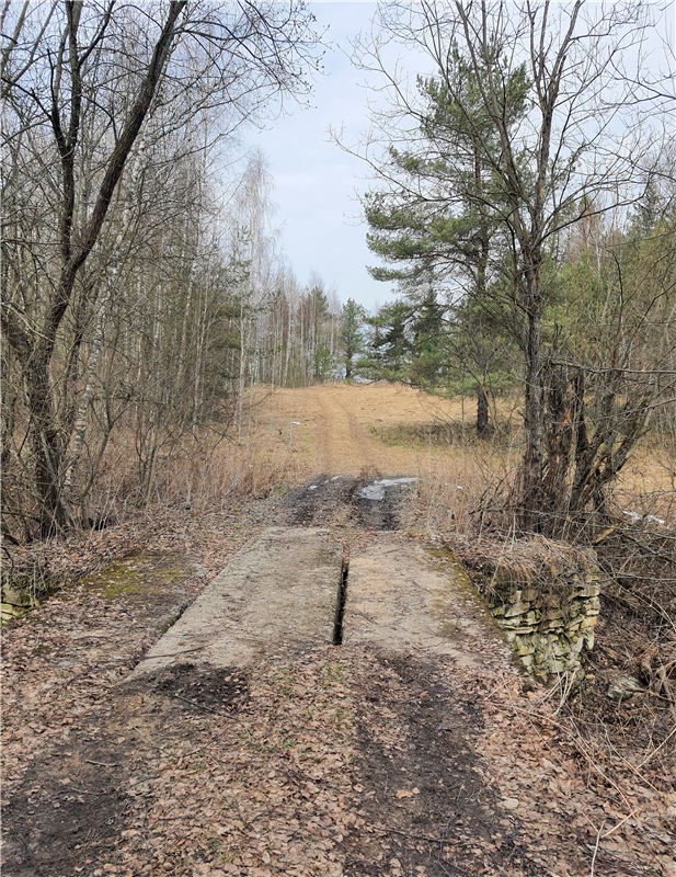 Путешествие Имани в ПанИку