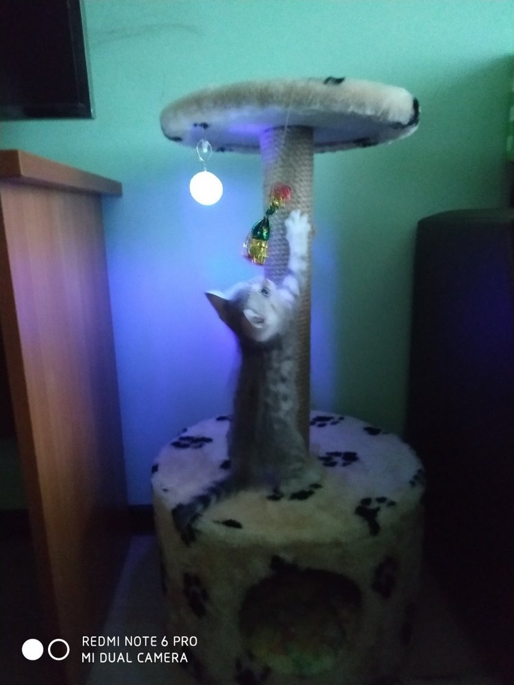 Гостей с такими подарками надо гнать поганой метлой! Или не надо