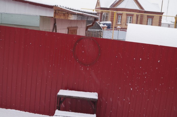 Вторая выписка декабря. Главная героиня нового года поправила своё здоровье. Лечим покусанные руки Барби, удаляем жир с