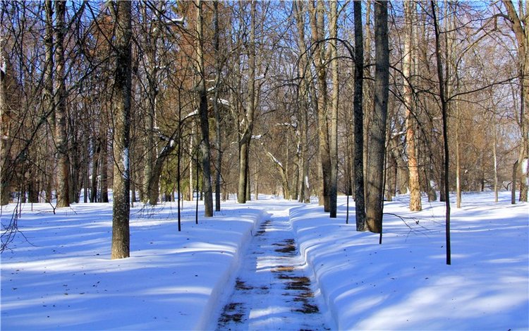Снежный Март — Туризм и путешествия: фотоотчеты из поездок