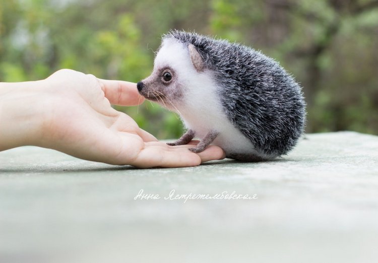 Ёжинька — Валяные игрушки из шерсти: сухое валяние (фото 10)