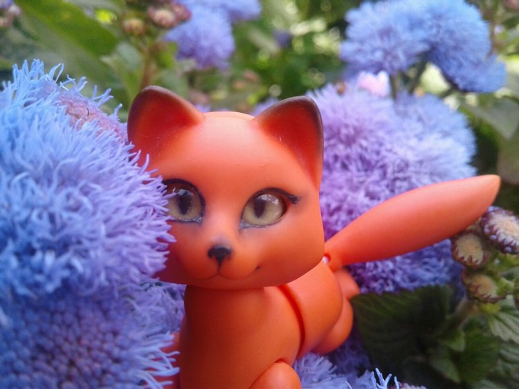 Наше лето, часть 1 — Куклы и тела Obitsu (Обитсу): 1/6