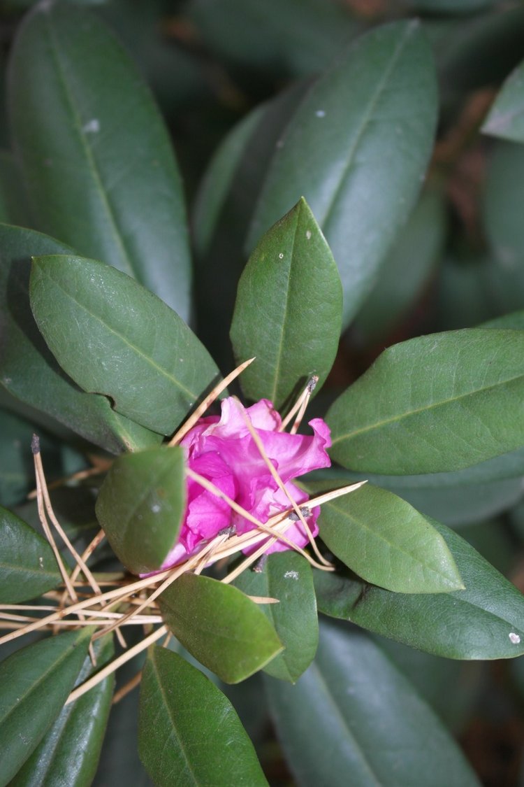 Осенний день Юляши и Бьорк (фото 6)