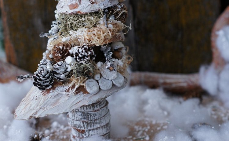 Елочка — Другие хобби и увлечения: сад (фото 8)