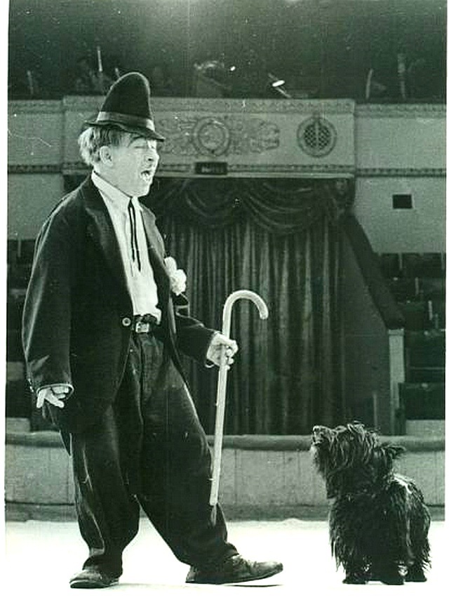 Молодое поколение клоунят или детки Дианы Эффнер