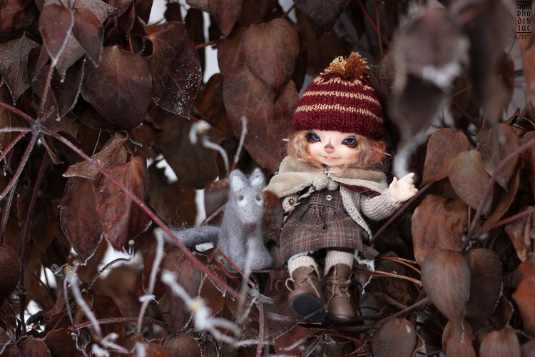 Зимние прогулки с Корицей, Мией и Волчком (фото 5)