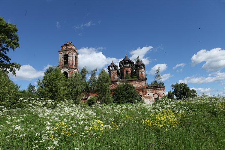 Поездка в Гвоздево с эльфиками (фотосессия Карш и Мармеладика) | Бэйбики Поездка в Гвоздево с эльфиками (фотосессия Карш и Мармеладика)
