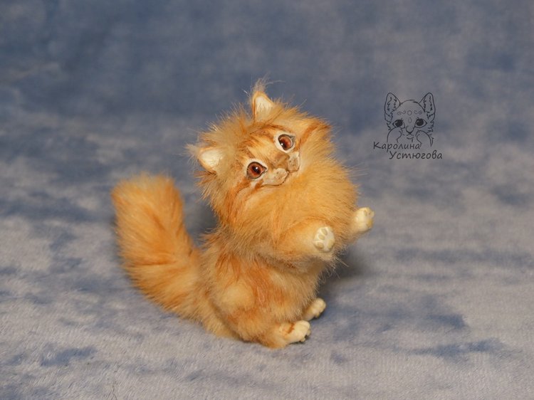 Мейн-ку́н, миниатюра. Рыженький