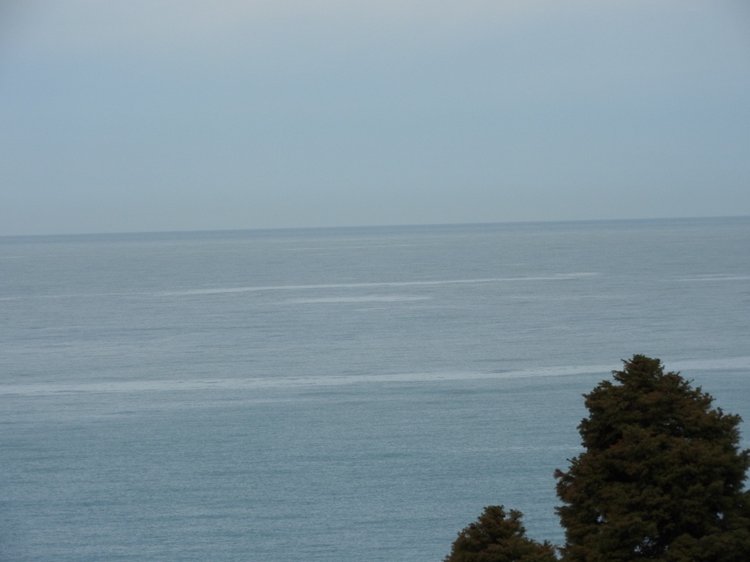 Сочи-Адлер: Южное Взморье - Красоты Черного Моря (фото 9)