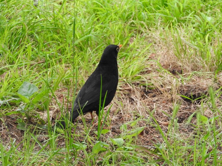 Сочи-Адлер: Южное Взморье - виртуальное путешествие по территории санатория