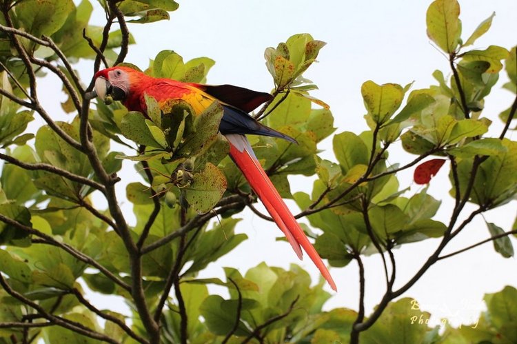 Любителям природы - профессиональные фотографии (выпуск 4)