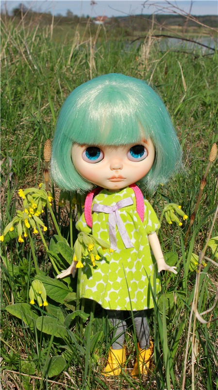 Долгая дорога к Волге. Custom Blythe Doll UFO Go Go Takara