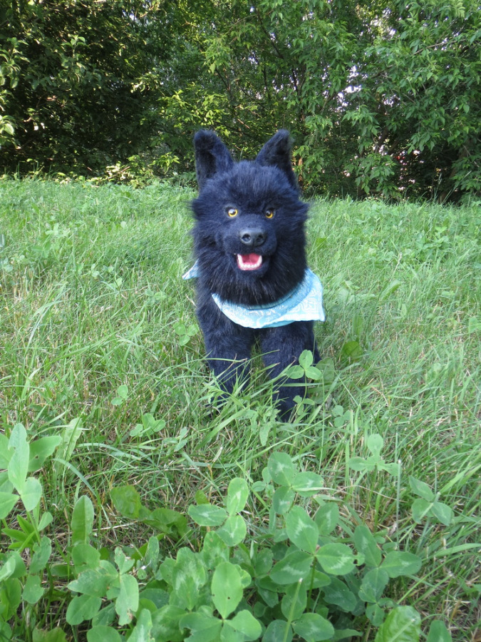 Мой домашний волчок — Домашние фото авторских игрушек: Тедди (фото 4)