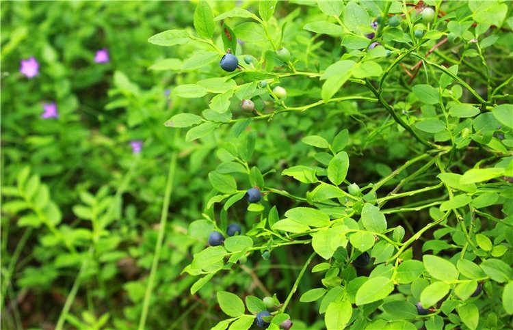 Путешествие Эли на красивый берег реки Волги