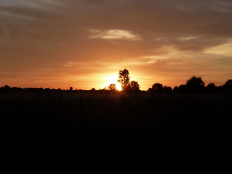 Отдых в деревне с Джой — Туризм и путешествия: фотоотчеты из поездок