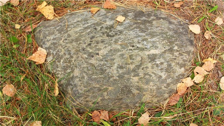 Путешествие Имани на Волгу, продолжение. Mini Imani от Kaye Wiggs