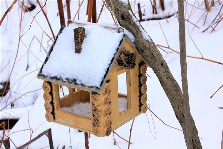 Тверской Ботанический Сад, заключительная часть