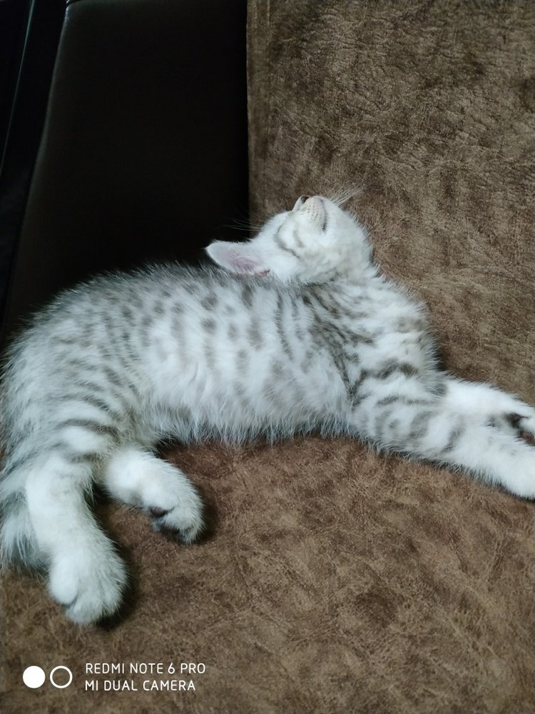 Гостей с такими подарками надо гнать поганой метлой! Или не надо