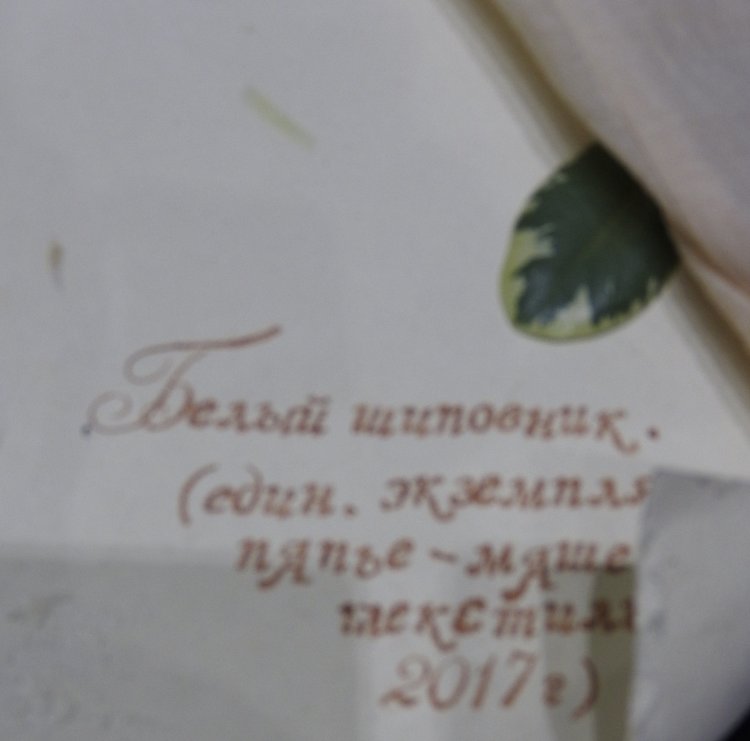 Бальзам для души. Продолжение