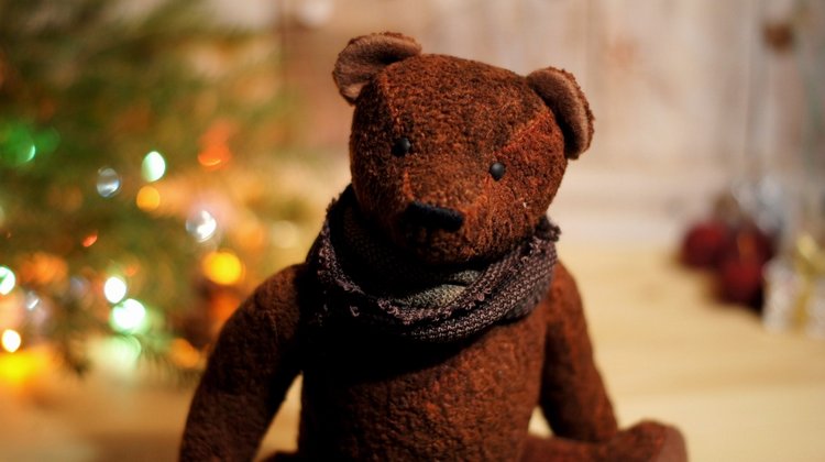 Новогодний вечер — Другие хобби и увлечения: сад (фото 9)