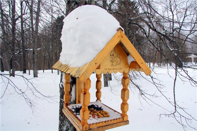 Снежный Март — Туризм и путешествия: фотоотчеты из поездок