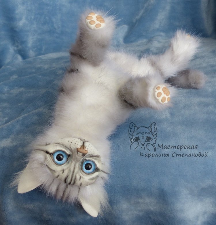 Невские Маскарадные коты серебристого окраса и Совята (фото 10)