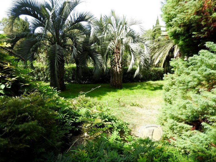 Краснодарский Край, Сочи-Адлер, Санаторий «Южное Взморье»